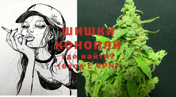 PSILOCYBIN Аркадак