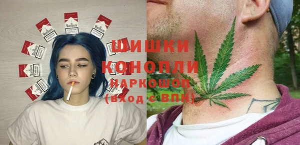 дурь Белокуриха