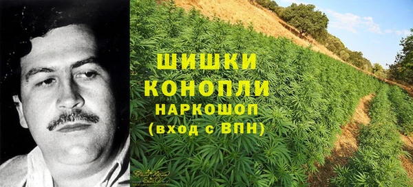 дурь Белокуриха