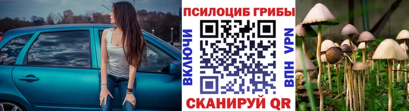 Галлюциногенные грибы Cubensis  Купить где  Скопин 
